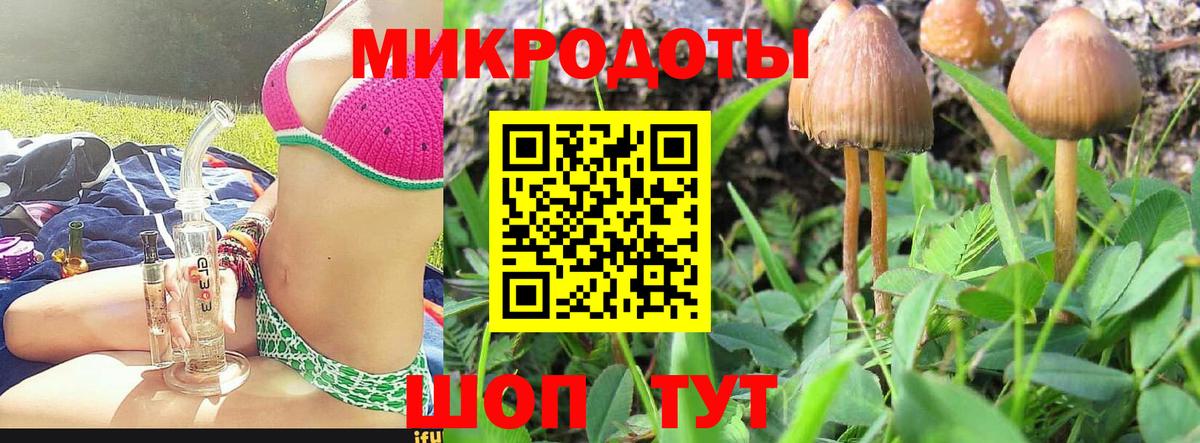 Благовещенск  Галлюциногенные грибы ЛСД  Вход с VPN 